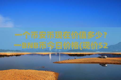 一个币安币现在价值多少？一BNB币今日价格(现价5258.84元)