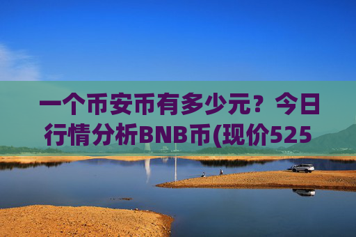 一个币安币有多少元？今日行情分析BNB币(现价5251.07元)