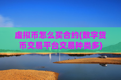 虚拟币怎么买合约(数字货币交易平台交易种类多)
