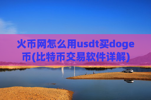火币网怎么用usdt买doge币(比特币交易软件详解)