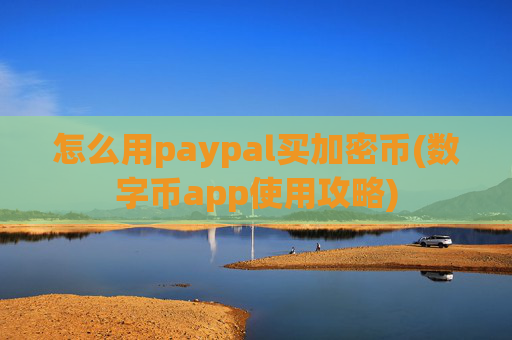 怎么用paypal买加密币(数字币app使用攻略)