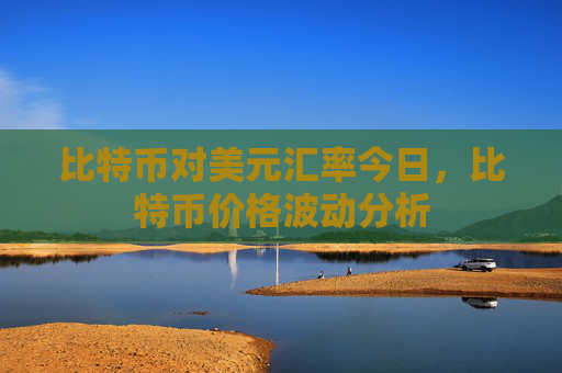 比特币对美元汇率今日，比特币价格波动分析