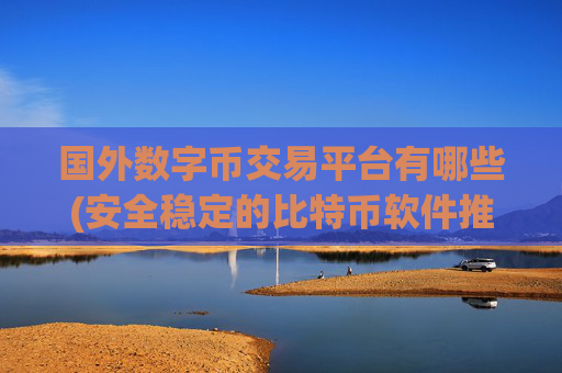 国外数字币交易平台有哪些(安全稳定的比特币软件推荐)