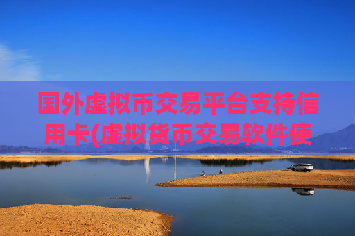 国外虚拟币交易平台支持信用卡(虚拟货币交易软件使用)