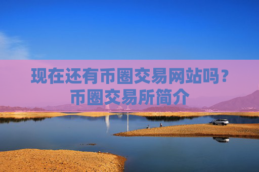 现在还有币圈交易网站吗？币圈交易所简介