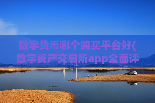 数字货币哪个购买平台好(数字资产交易所app全面评测)