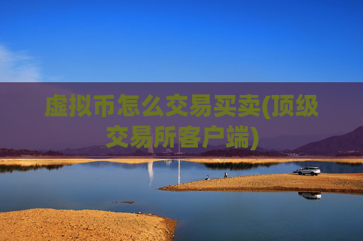 虚拟币怎么交易买卖(顶级交易所客户端)