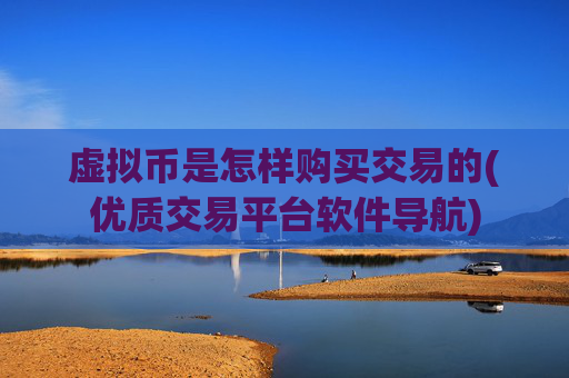 虚拟币是怎样购买交易的(优质交易平台软件导航)