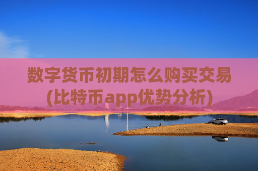 数字货币初期怎么购买交易(比特币app优势分析)