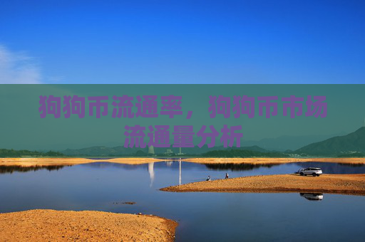 狗狗币流通率，狗狗币市场流通量分析