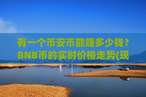 有一个币安币能赚多少钱？BNB币的实时价格走势(现价5220.92元)