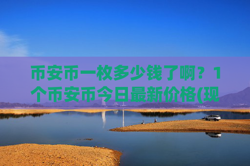 币安币一枚多少钱了啊？1个币安币今日最新价格(现价4817.48元)