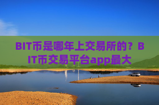 BIT币是哪年上交易所的？BIT币交易平台app最大