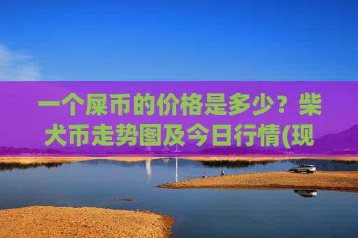 一个屎币的价格是多少？柴犬币走势图及今日行情(现价0.00023014元)