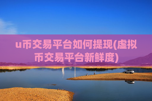 u币交易平台如何提现(虚拟币交易平台新鲜度)