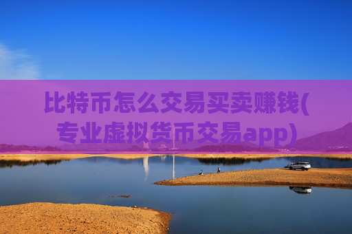 比特币怎么交易买卖赚钱(专业虚拟货币交易app)