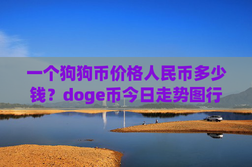 一个狗狗币价格人民币多少钱？doge币今日走势图行情(现价2.3221元)