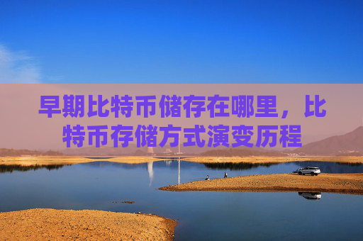 早期比特币储存在哪里，比特币存储方式演变历程