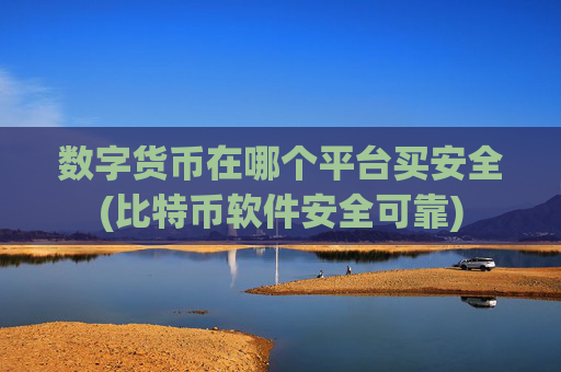 数字货币在哪个平台买安全(比特币软件安全可靠)