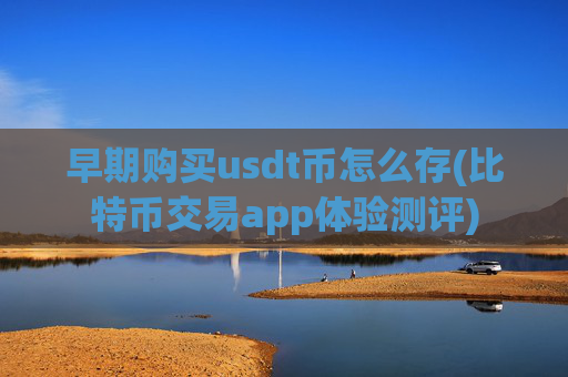 早期购买usdt币怎么存(比特币交易app体验测评)