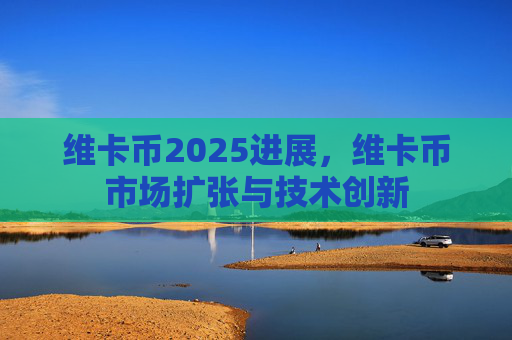维卡币2025进展，维卡币市场扩张与技术创新