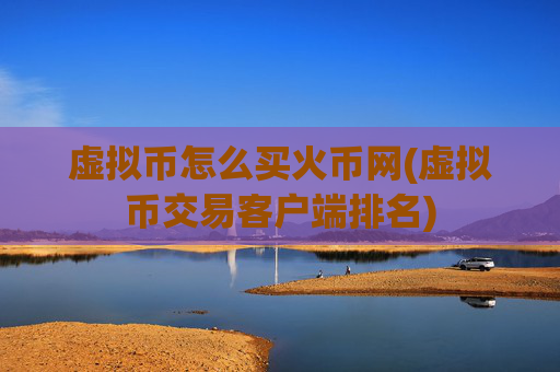 虚拟币怎么买火币网(虚拟币交易客户端排名)
