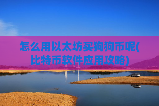 怎么用以太坊买狗狗币呢(比特币软件应用攻略)