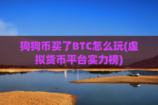 狗狗币买了BTC怎么玩(虚拟货币平台实力榜)