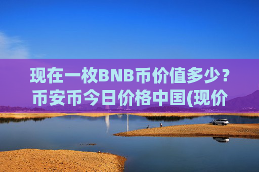现在一枚BNB币价值多少?币安币今日价格中国(现价5317.37元)