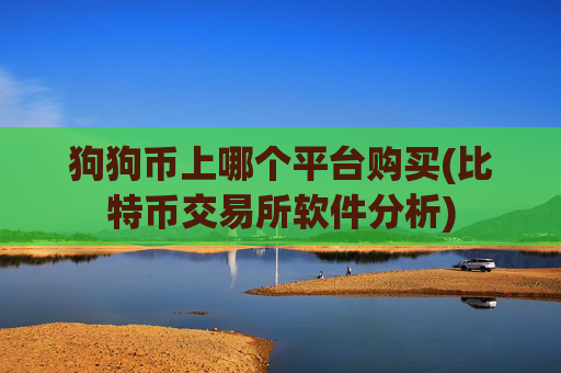 狗狗币上哪个平台购买(比特币交易所软件分析)