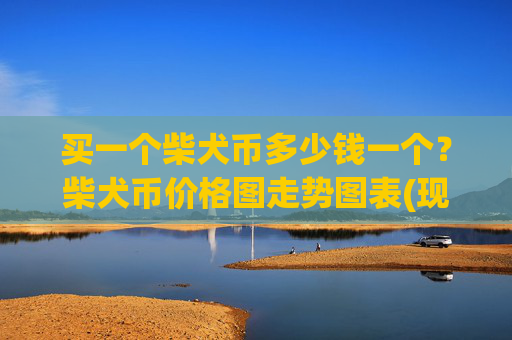 买一个柴犬币多少钱一个？柴犬币价格图走势图表(现价0.00023776元)