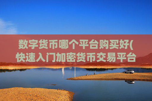 数字货币哪个平台购买好(快速入门加密货币交易平台)