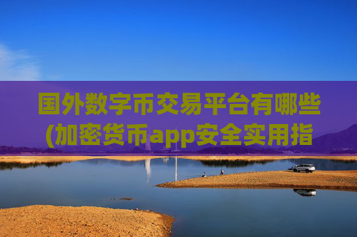 国外数字币交易平台有哪些(加密货币app安全实用指南)