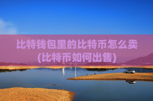 比特钱包里的比特币怎么卖(比特币如何出售)