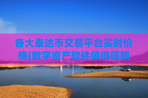 各大泰达币交易平台实时价格(数字资产软件值得信赖)