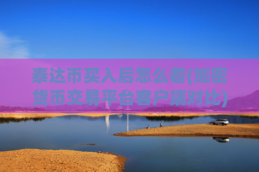 泰达币买入后怎么看(加密货币交易平台客户端对比)