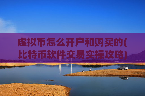 虚拟币怎么开户和购买的(比特币软件交易实操攻略)