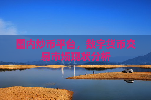 国内炒币平台,数字货币交易市场现状分析