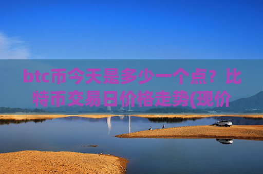 btc币今天是多少一个点？比特币交易日价格走势(现价743908.93元)