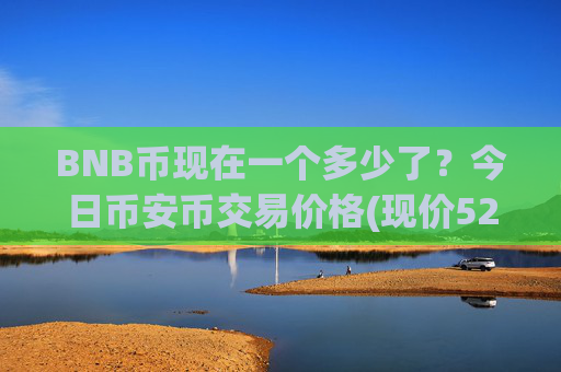 BNB币现在一个多少了？今日币安币交易价格(现价5275.33元)