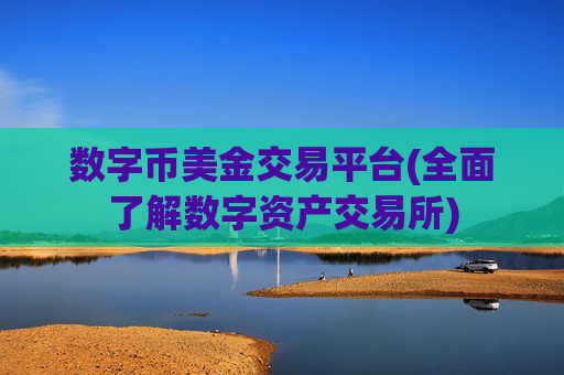 数字币美金交易平台(全面了解数字资产交易所)