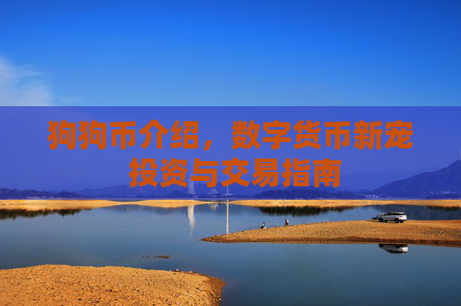 狗狗币介绍,数字货币新宠 投资与交易指南