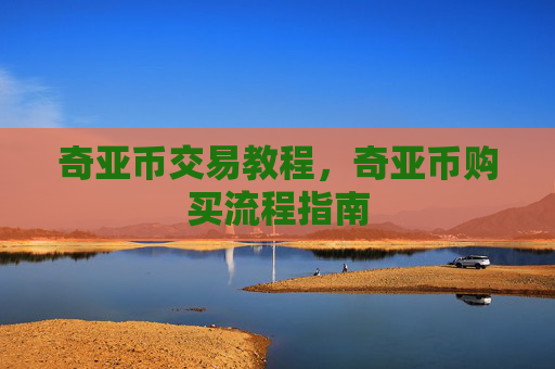 奇亚币交易教程，奇亚币购买流程指南