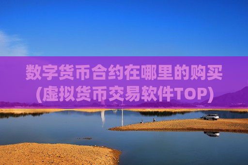 数字货币合约在哪里的购买(虚拟货币交易软件TOP)
