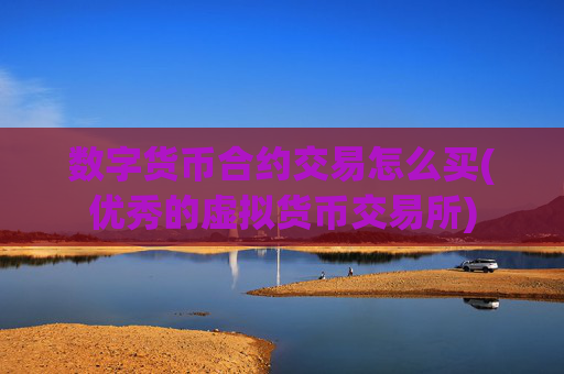 数字货币合约交易怎么买(优秀的虚拟货币交易所)