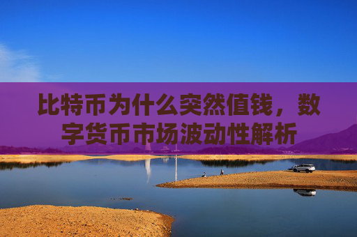 比特币为什么突然值钱，数字货币市场波动性解析