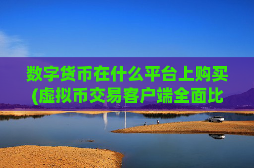 数字货币在什么平台上购买(虚拟币交易客户端全面比较)