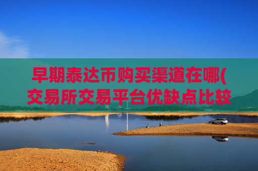 早期泰达币购买渠道在哪(交易所交易平台优缺点比较)