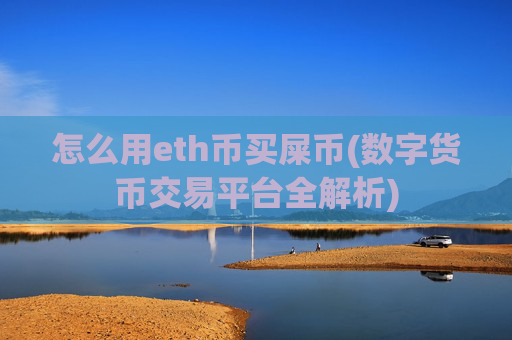 怎么用eth币买屎币(数字货币交易平台全解析)