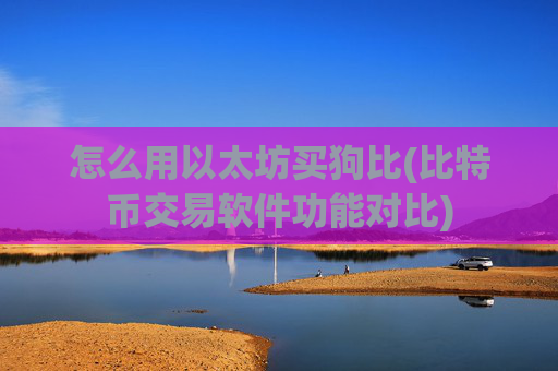 怎么用以太坊买狗比(比特币交易软件功能对比)